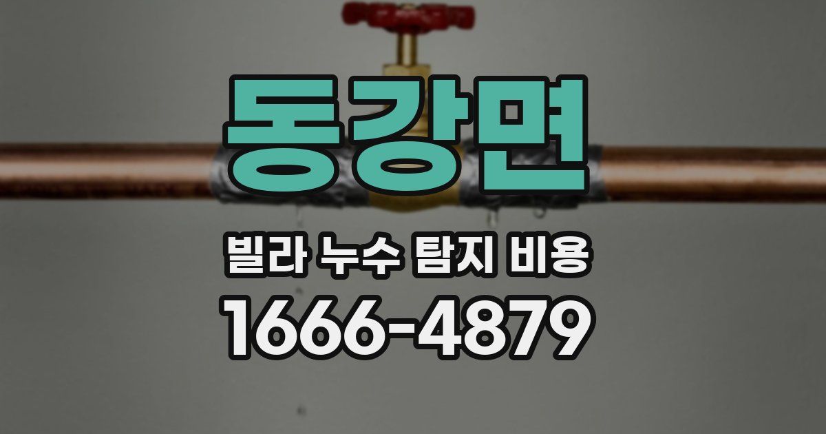 동강면 빌라 누수 탐지 비용