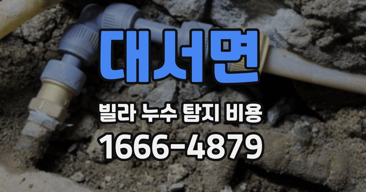 대서면 빌라 누수 탐지 비용