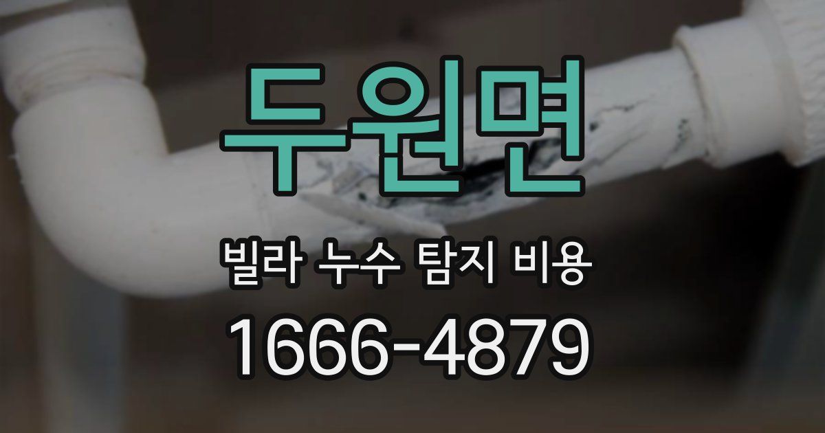 두원면 빌라 누수 탐지 비용