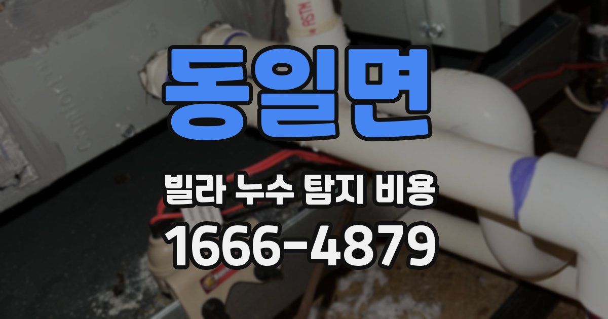 동일면 빌라 누수 탐지 비용