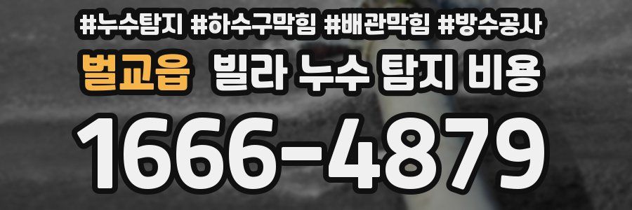 벌교읍 빌라 누수 탐지 비용
