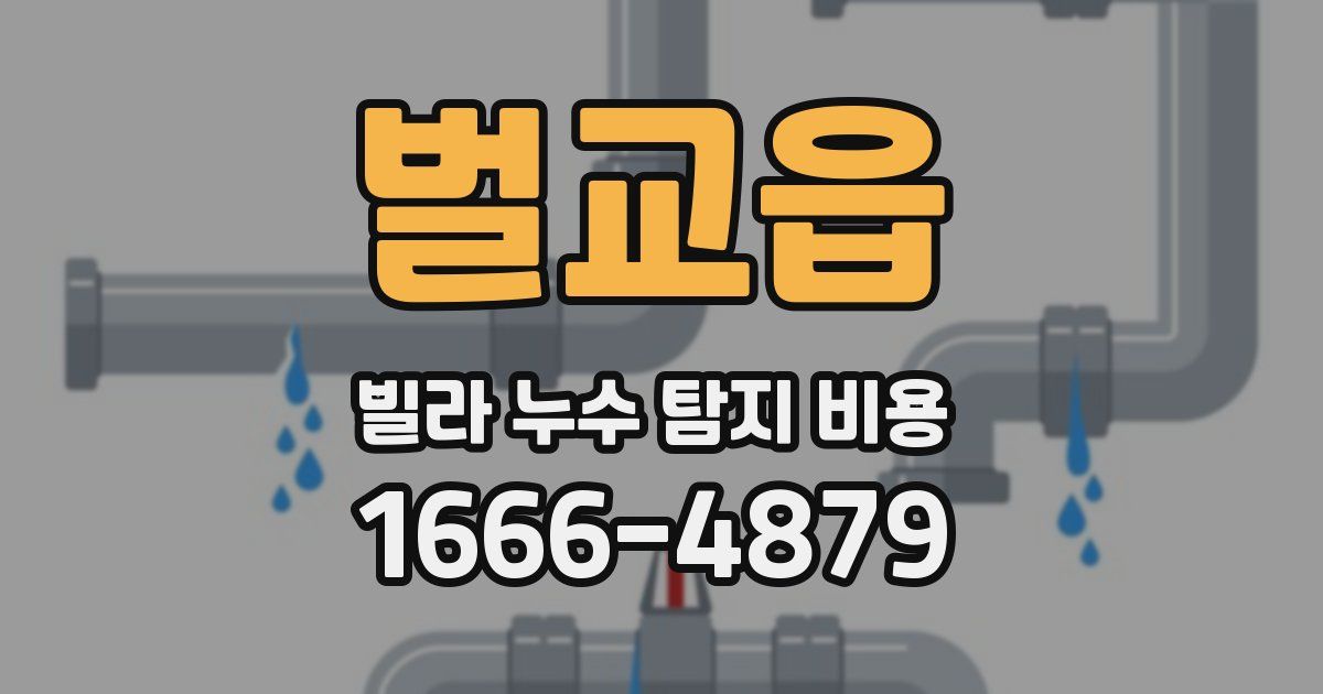 벌교읍 빌라 누수 탐지 비용