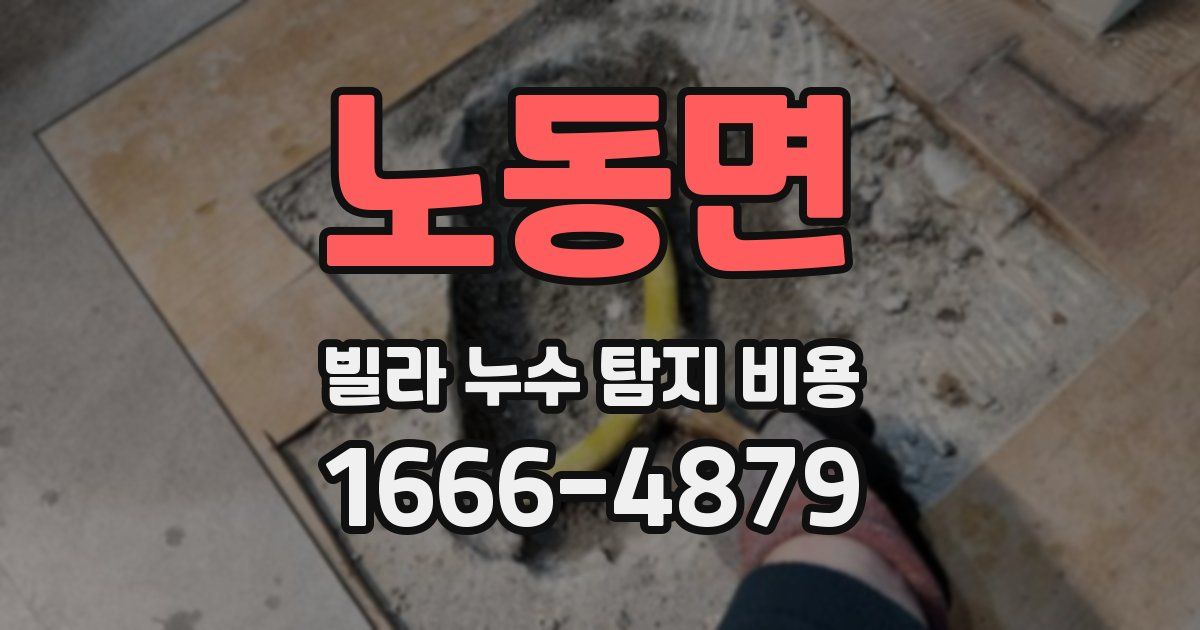 노동면 빌라 누수 탐지 비용