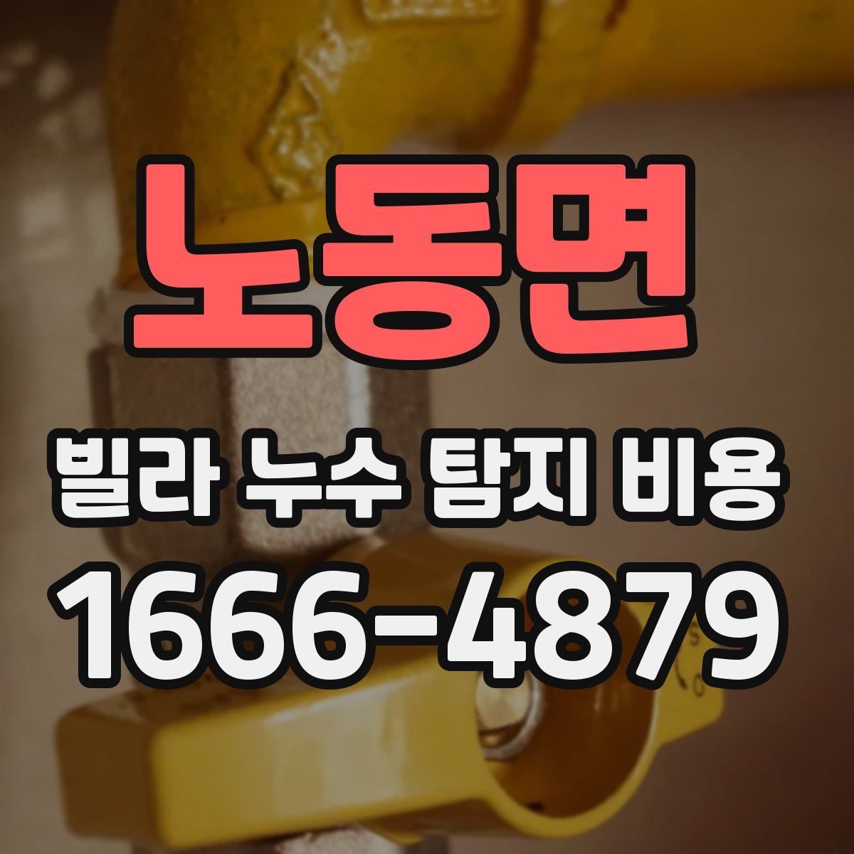 노동면 빌라 누수 탐지 비용