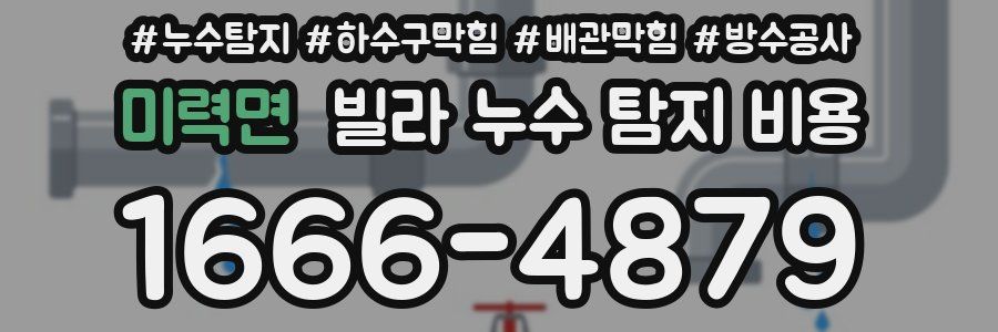 미력면 빌라 누수 탐지 비용