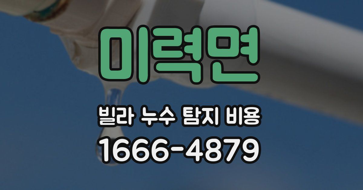 미력면 빌라 누수 탐지 비용