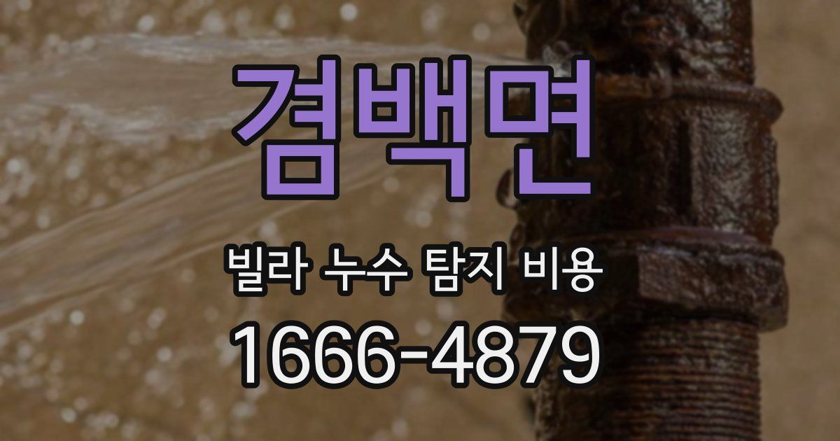 겸백면 빌라 누수 탐지 비용