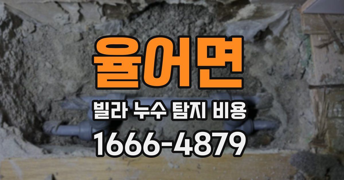 율어면 빌라 누수 탐지 비용