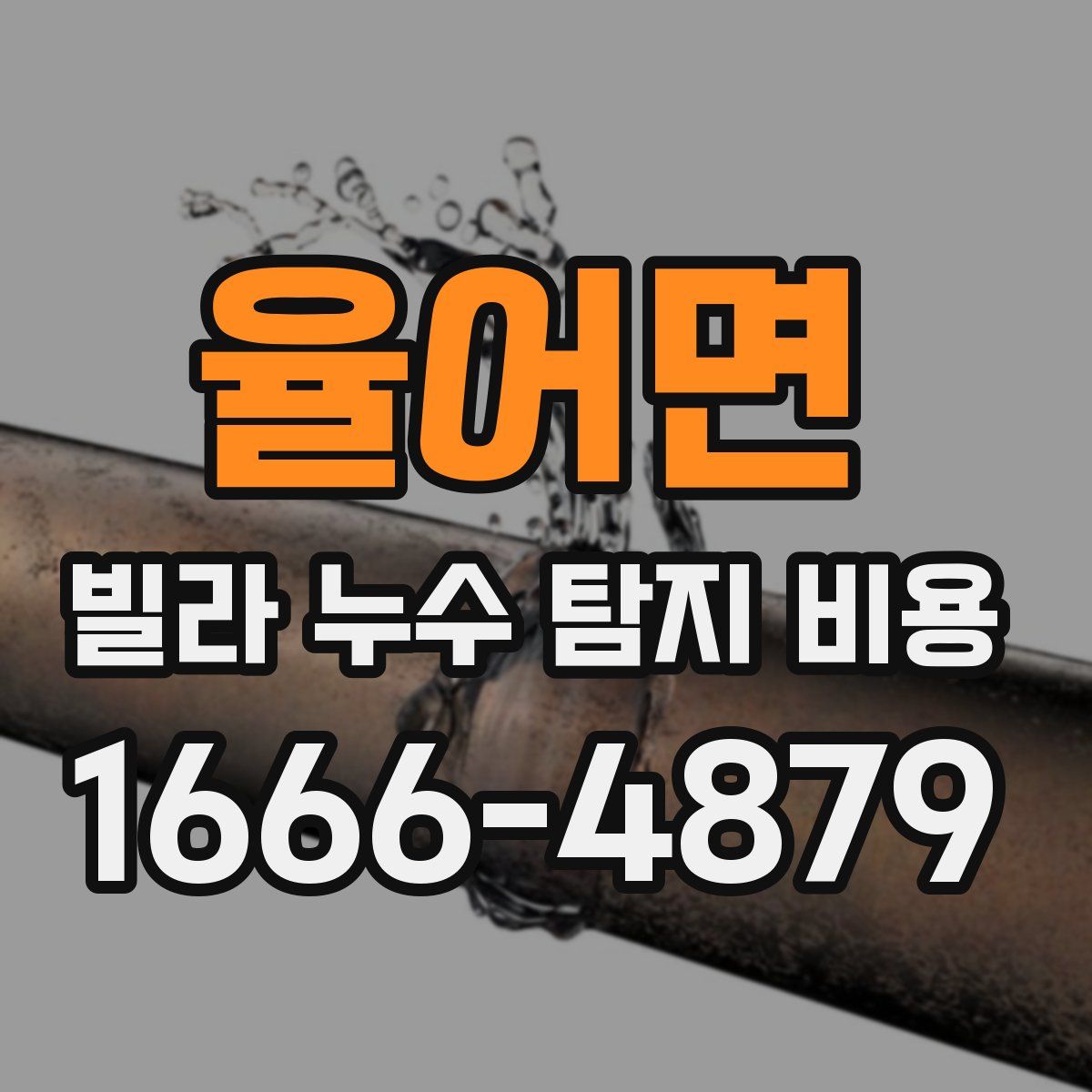 율어면 빌라 누수 탐지 비용