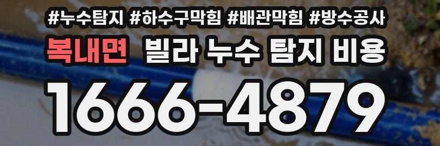 복내면 빌라 누수 탐지 비용