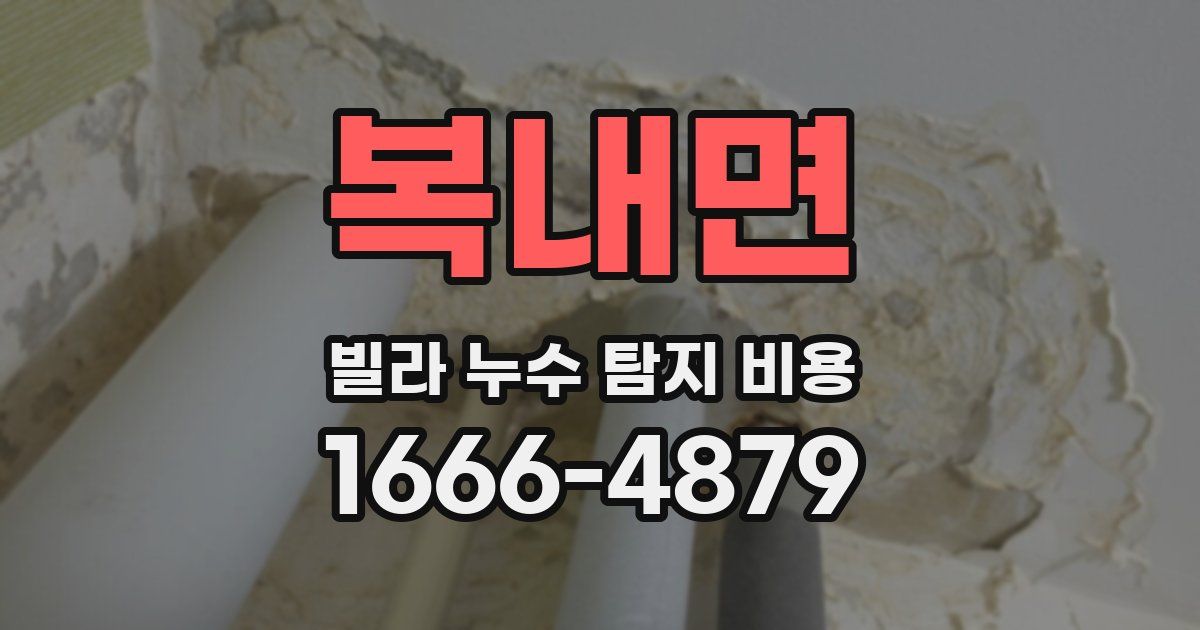 복내면 빌라 누수 탐지 비용