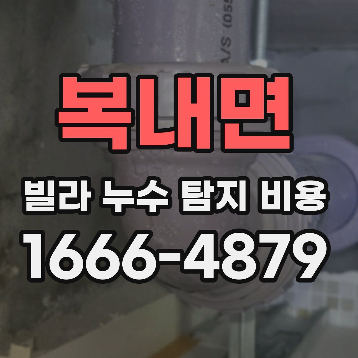 복내면 빌라 누수 탐지 비용