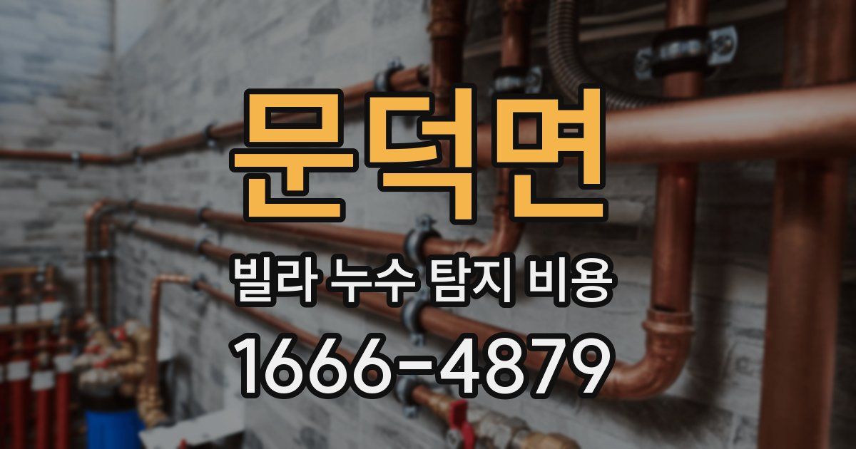 문덕면 빌라 누수 탐지 비용