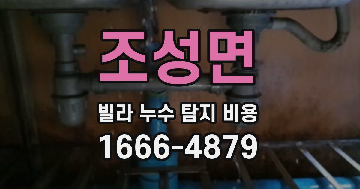 조성면 빌라 누수 탐지 비용