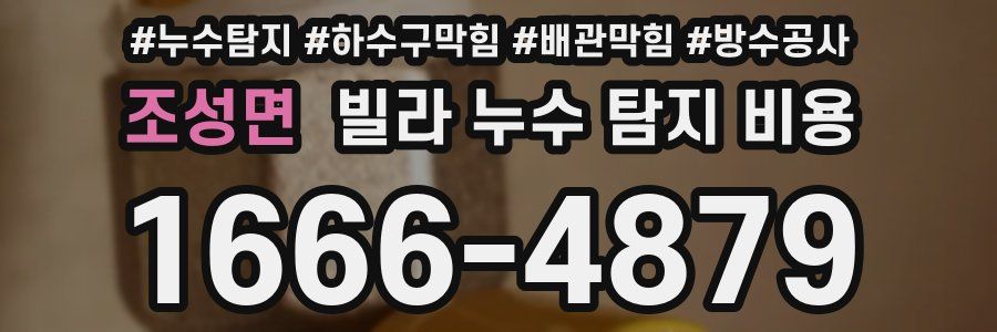 조성면 빌라 누수 탐지 비용
