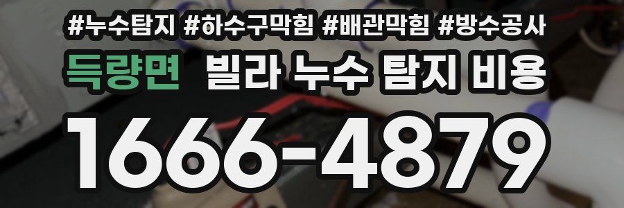 득량면 빌라 누수 탐지 비용