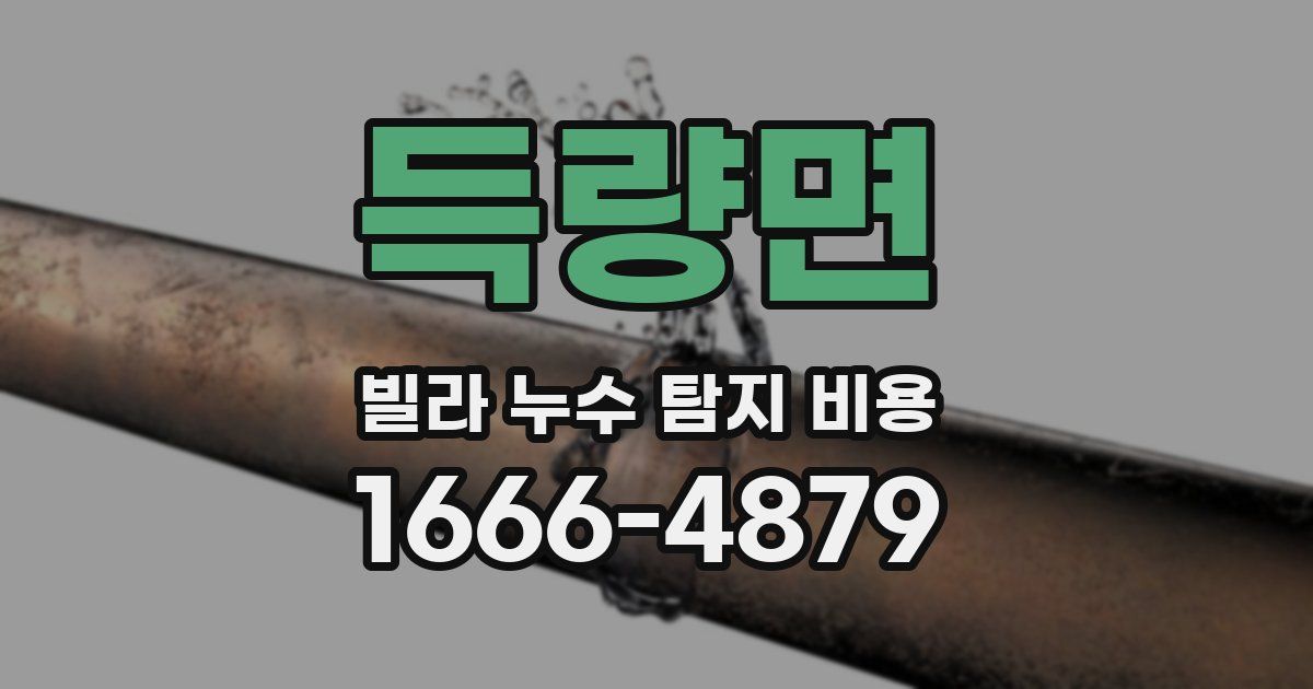득량면 빌라 누수 탐지 비용