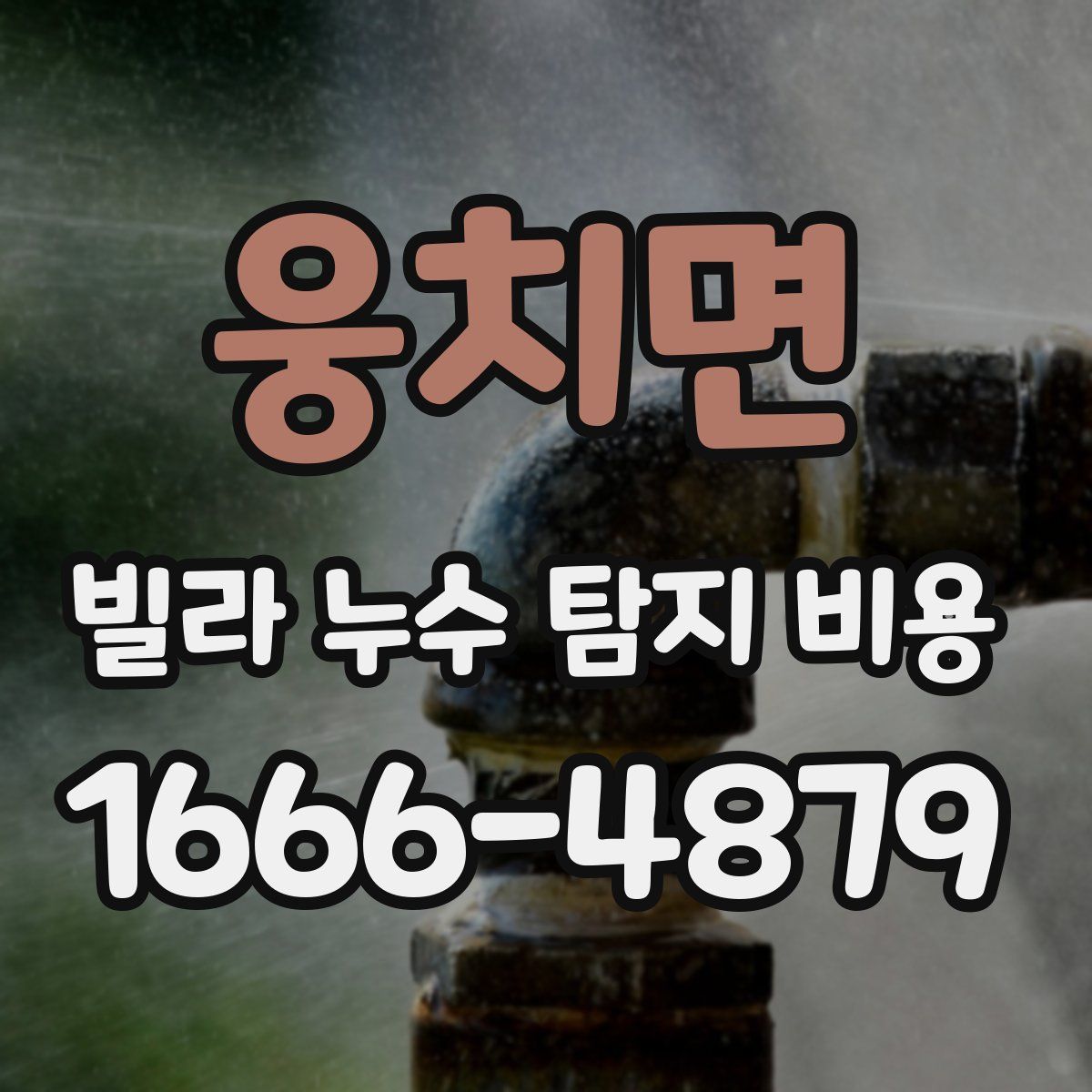 웅치면 빌라 누수 탐지 비용