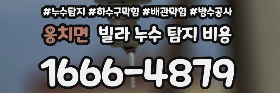 웅치면 빌라 누수 탐지 비용