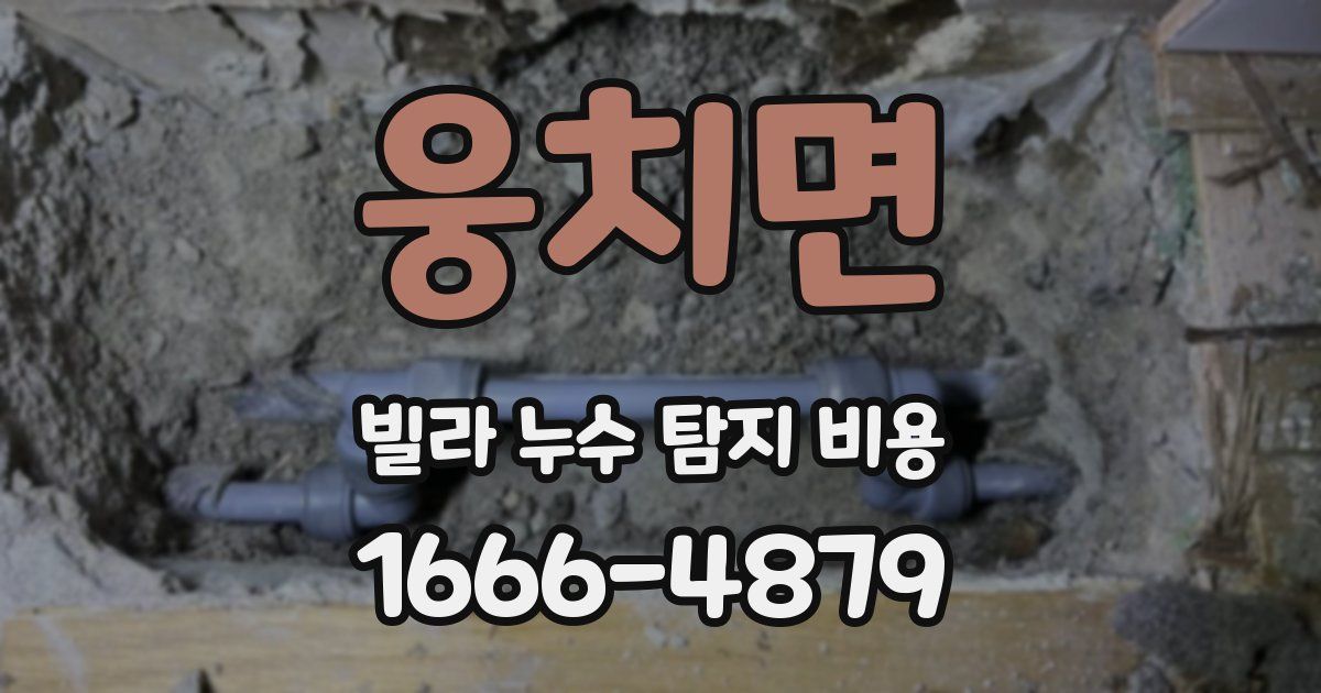 웅치면 빌라 누수 탐지 비용