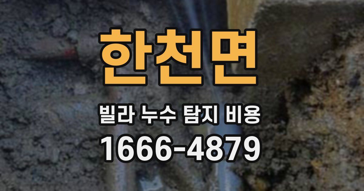 한천면 빌라 누수 탐지 비용