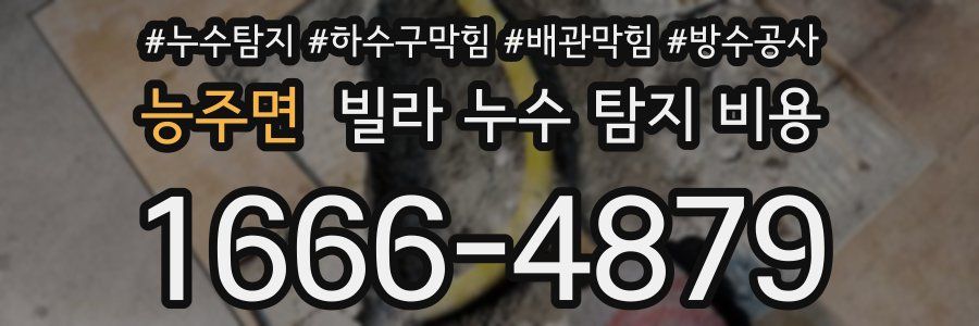 능주면 빌라 누수 탐지 비용