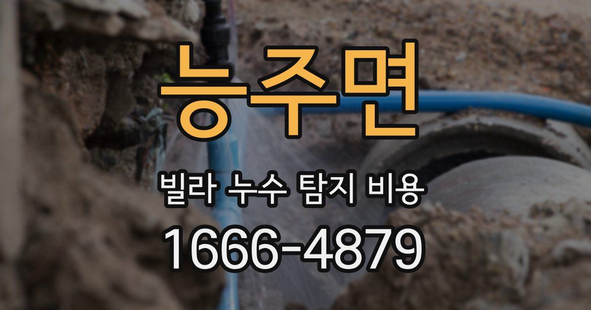 능주면 빌라 누수 탐지 비용