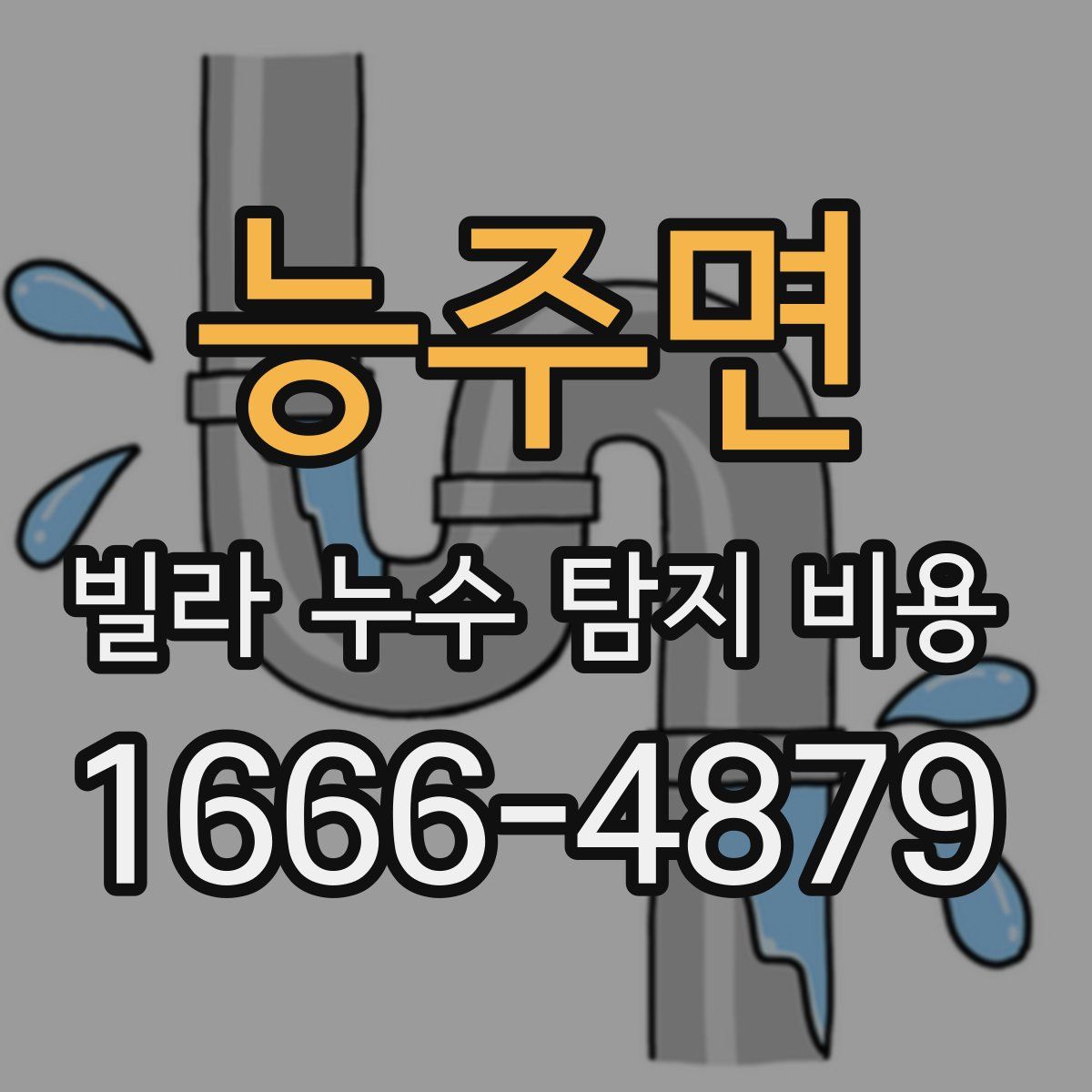 능주면 빌라 누수 탐지 비용