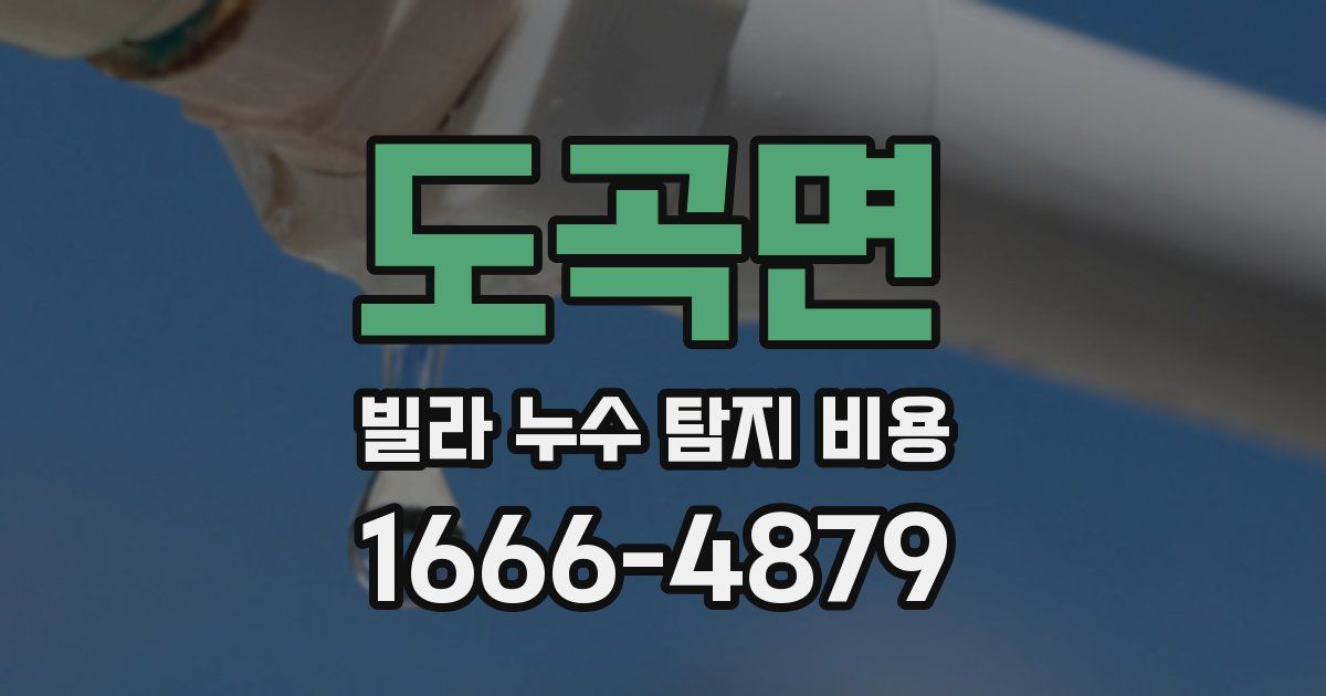 도곡면 빌라 누수 탐지 비용