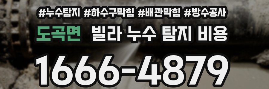 도곡면 빌라 누수 탐지 비용
