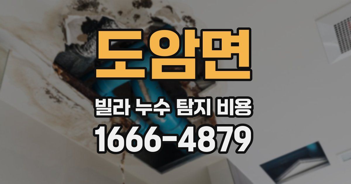 도암면 빌라 누수 탐지 비용
