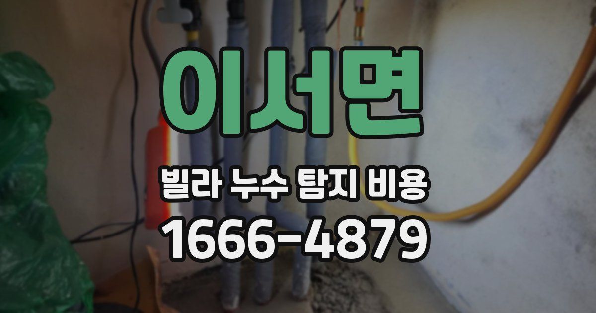 이서면 빌라 누수 탐지 비용