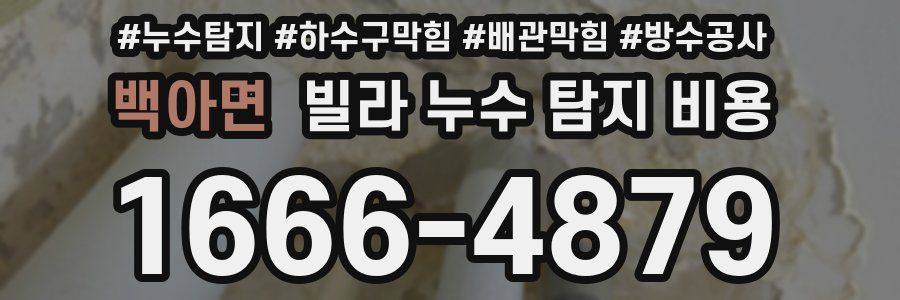 백아면 빌라 누수 탐지 비용