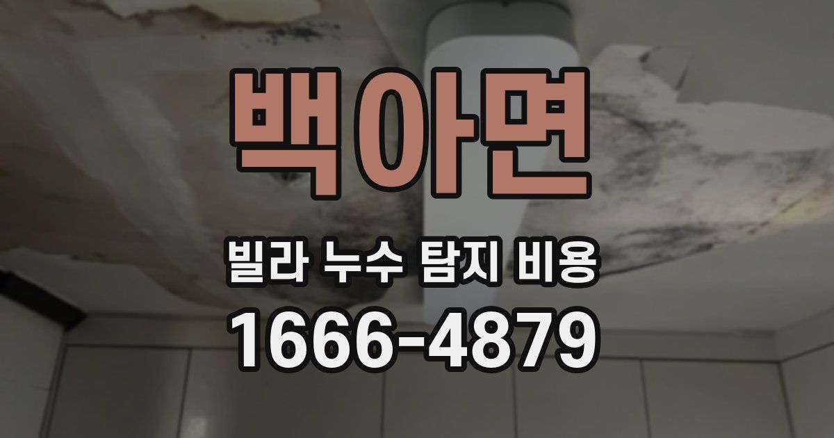 백아면 빌라 누수 탐지 비용