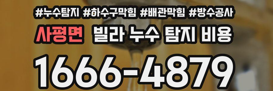 사평면 빌라 누수 탐지 비용