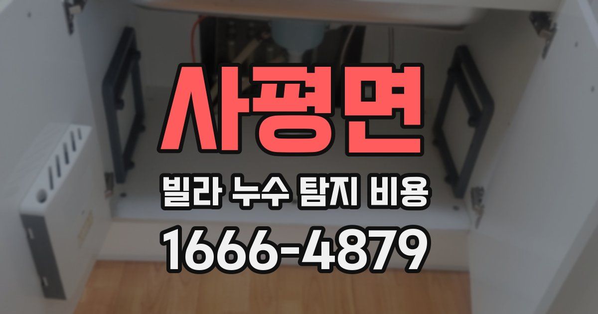 사평면 빌라 누수 탐지 비용