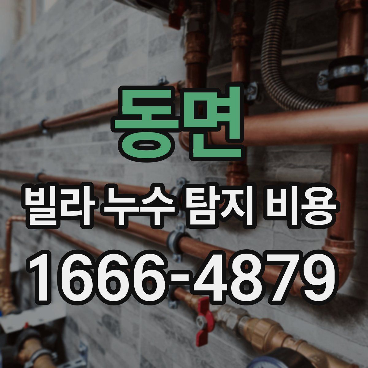 동면 빌라 누수 탐지 비용