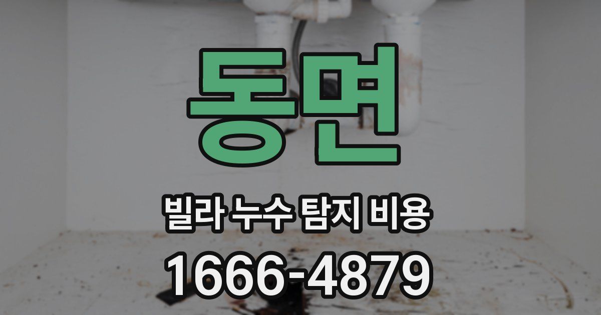 동면 빌라 누수 탐지 비용