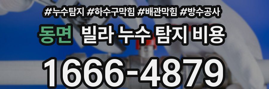동면 빌라 누수 탐지 비용