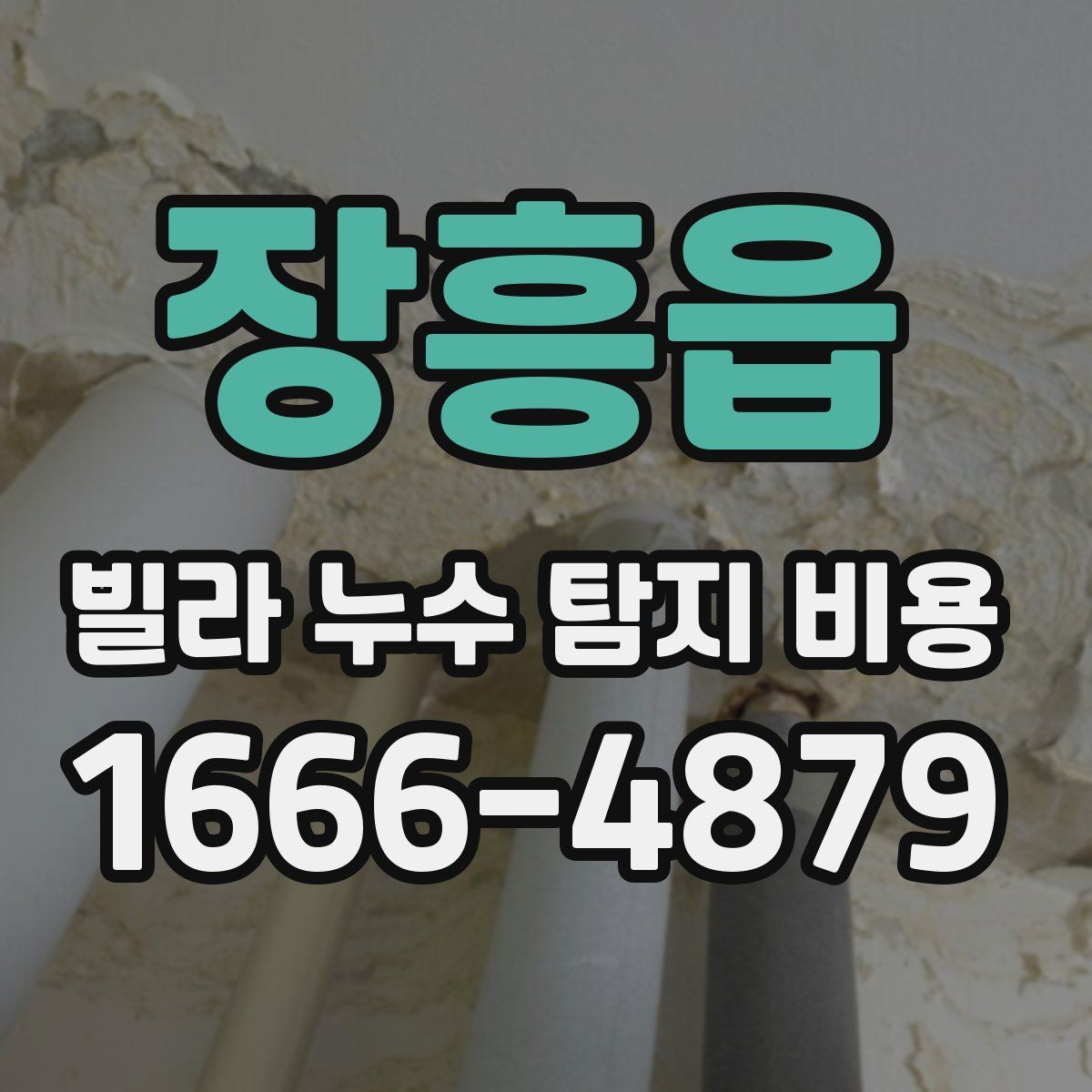 장흥읍 빌라 누수 탐지 비용