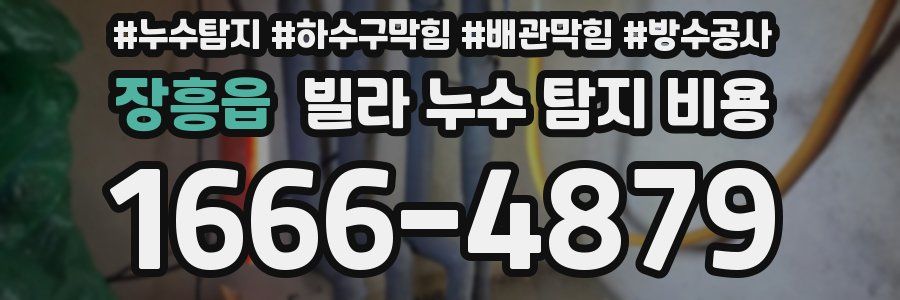 장흥읍 빌라 누수 탐지 비용