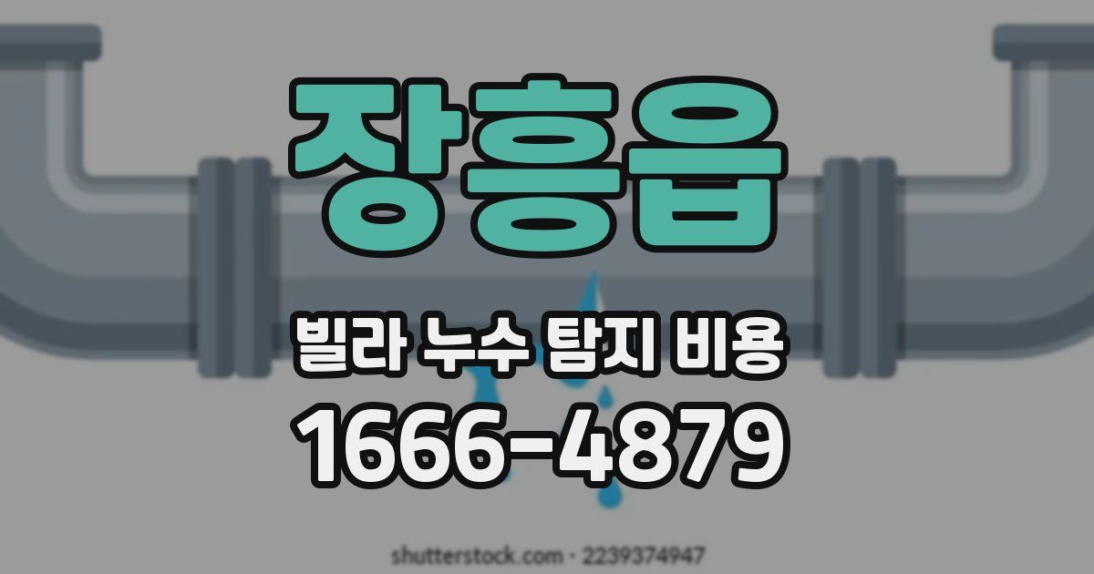 장흥읍 빌라 누수 탐지 비용
