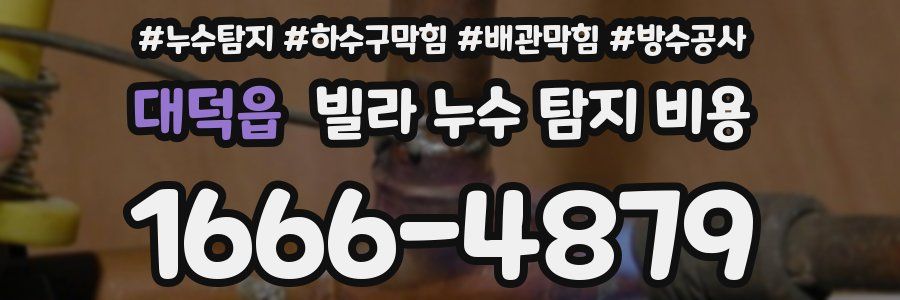 대덕읍 빌라 누수 탐지 비용