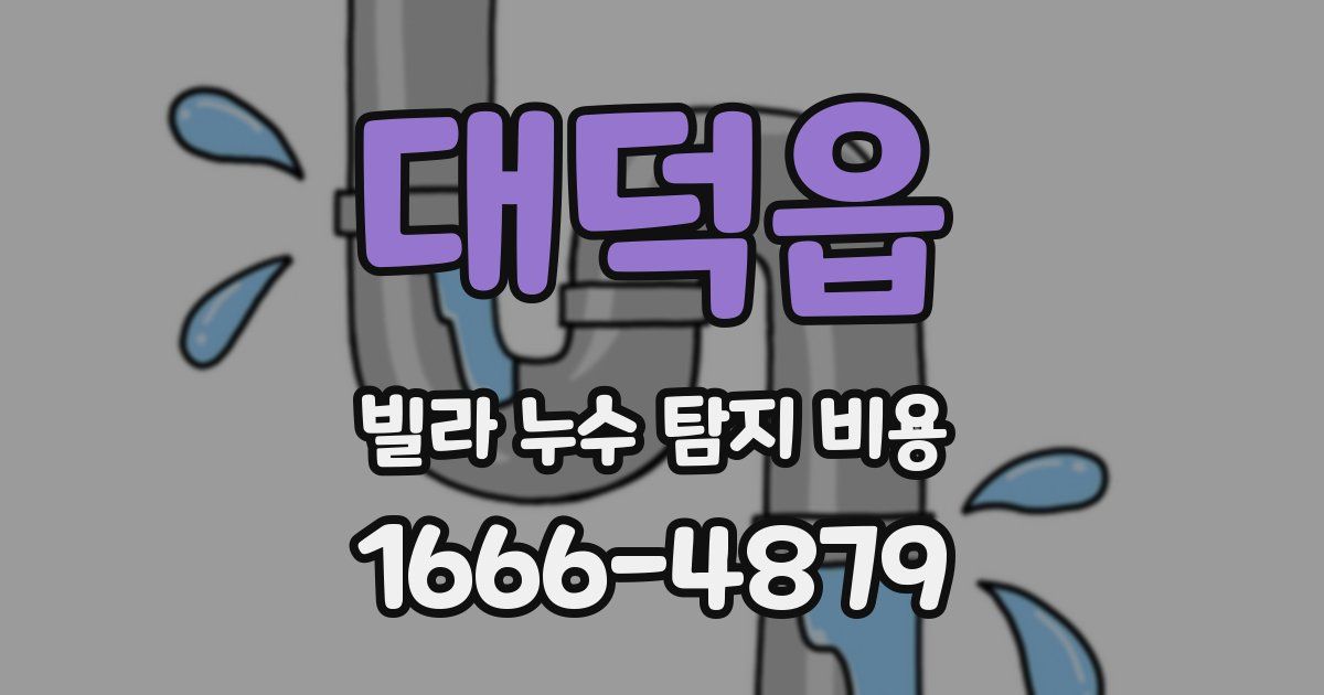 대덕읍 빌라 누수 탐지 비용