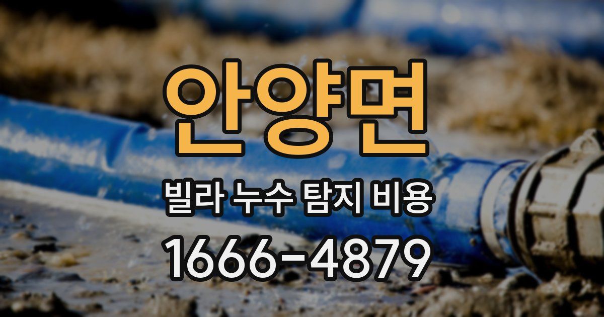 안양면 빌라 누수 탐지 비용