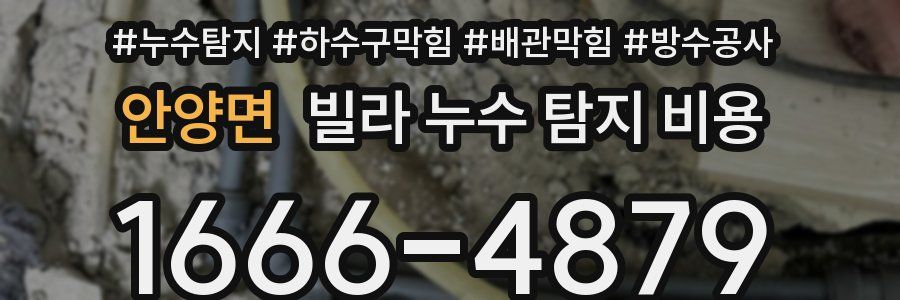 안양면 빌라 누수 탐지 비용