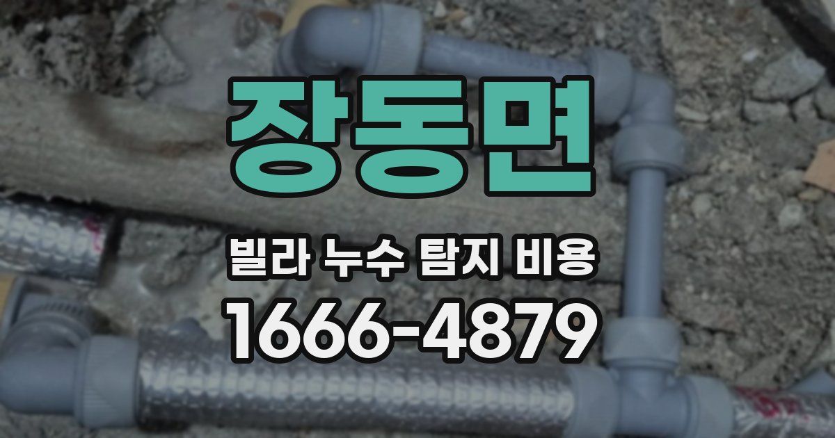 장동면 빌라 누수 탐지 비용