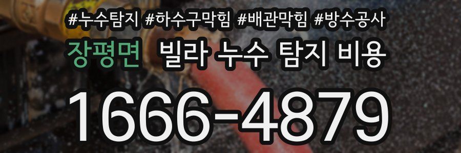 장평면 빌라 누수 탐지 비용