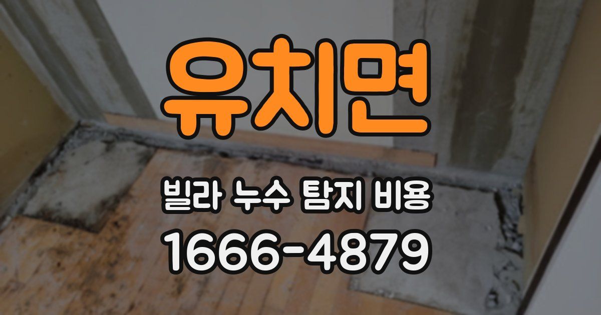 유치면 빌라 누수 탐지 비용