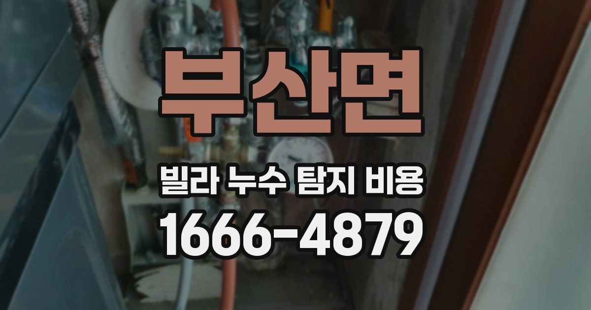 부산면 빌라 누수 탐지 비용
